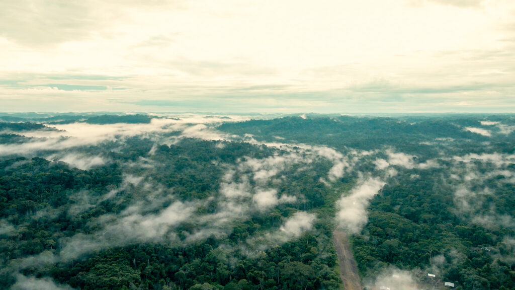 Elsteel plants 2,500 trees in Ecuador
